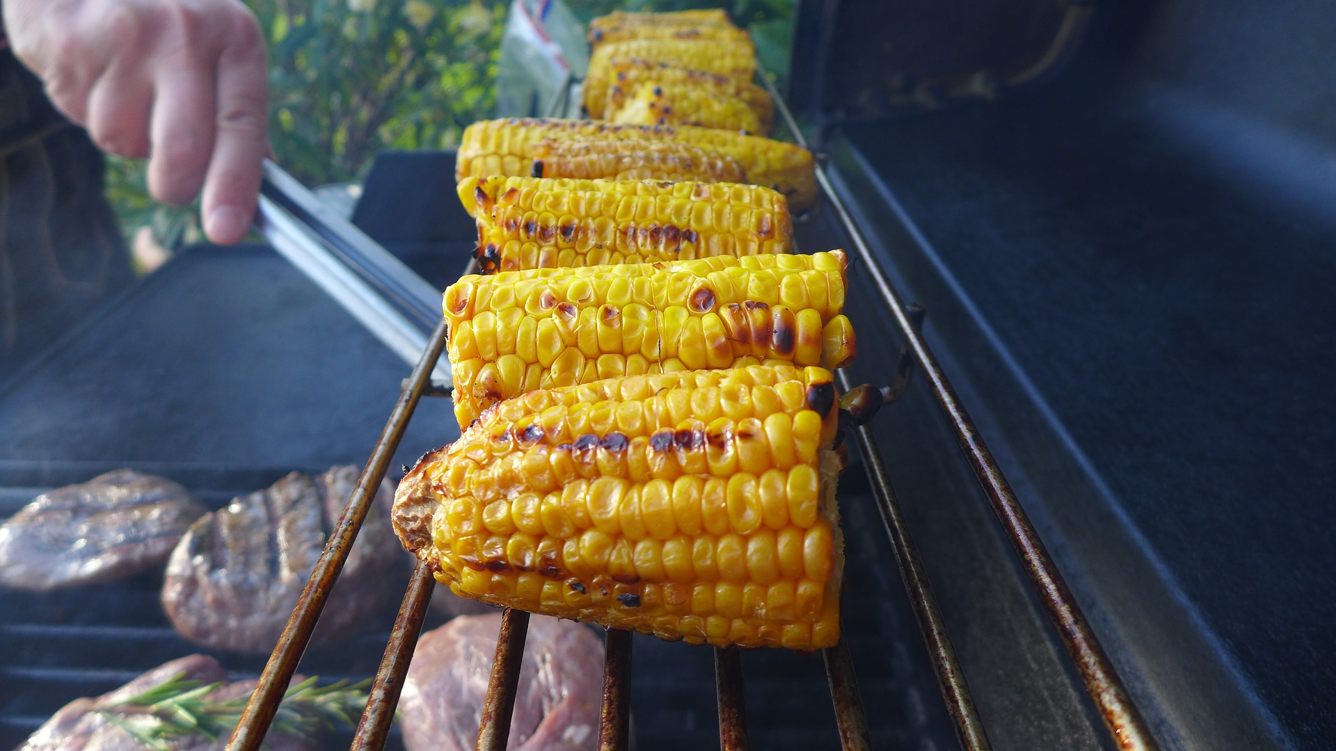 Corn on the cop is delicious and easy to prepare when camping Corn on the cop is delicious and easy to prepare when camping