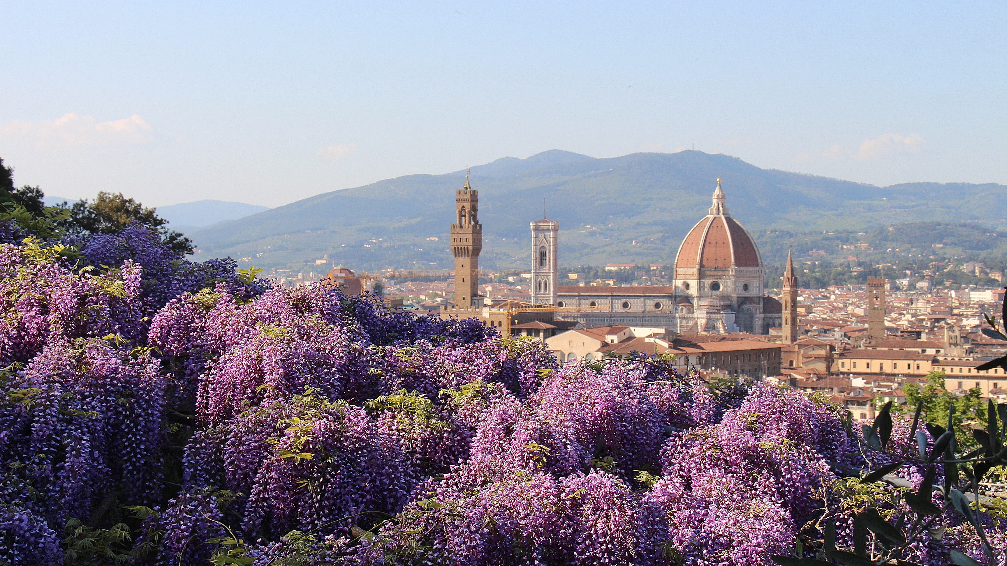 View from Villa Bardini in Florence View from Villa Bardini in Florence